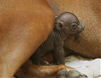 Pictures of the Day: 