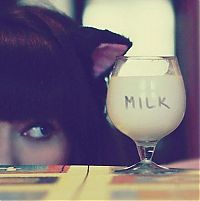 Pictures of the Day: 