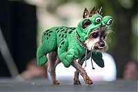 Pictures of the Day: 