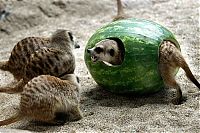 Pictures of the Day: 