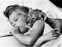 Pictures of the Day: 