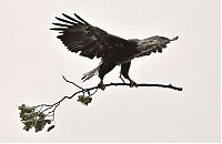 Pictures of the Day: 