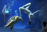 Pictures of the Day: 