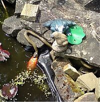 Pictures of the Day: 