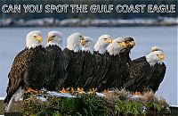 Pictures of the Day: 