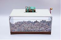 Pictures of the Day: 