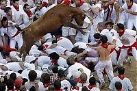 Pictures of the Day: 