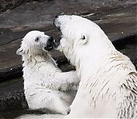 Pictures of the Day: 