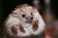 Pictures of the Day: 