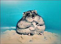 Pictures of the Day: 