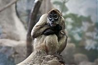 Pictures of the Day: 