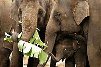 Pictures of the Day: 