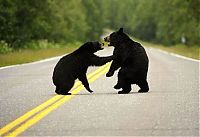 Pictures of the Day: 