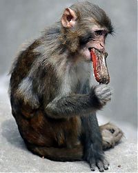 Pictures of the Day: 