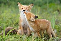 Pictures of the Day: 