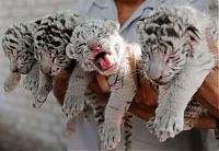 Pictures of the Day: 