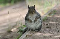 Pictures of the Day: 