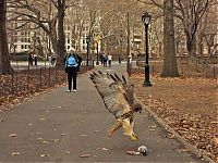 Pictures of the Day: 