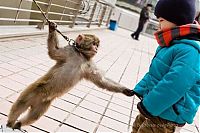 Pictures of the Day: 