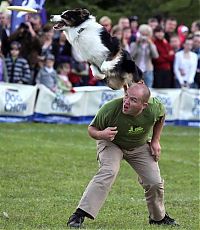 Pictures of the Day: 