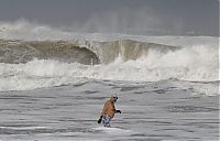 Pictures of the Day: Spain Wind Storm