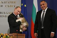 Pictures of the Day: 
