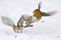 Pictures of the Day: 