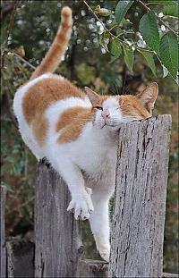 Pictures of the Day: 