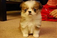 Pictures of the Day: 