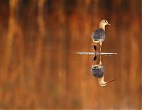 Pictures of the Day: 