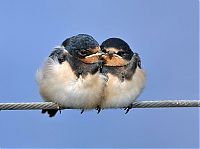 Pictures of the Day: 