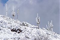 Pictures of the Day: 