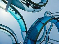 Pictures of the Day: 