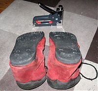 Pictures of the Day: 