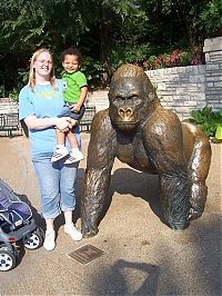 Pictures of the Day: 