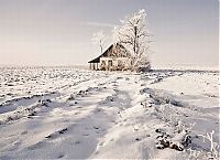 Pictures of the Day: 