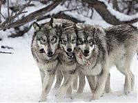 Pictures of the Day: 