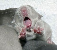 Pictures of the Day: 