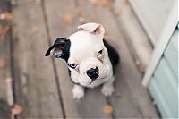 Pictures of the Day: 