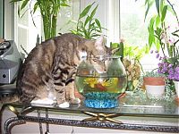 Pictures of the Day: 