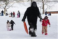 Pictures of the Day: Weather in United States