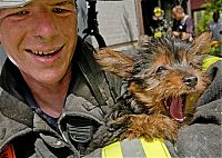 Pictures of the Day: 