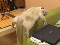 Pictures of the Day: 