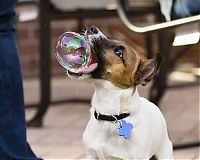 Pictures of the Day: 