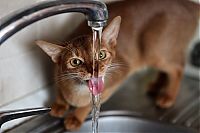 Pictures of the Day: 