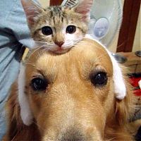 Pictures of the Day: 