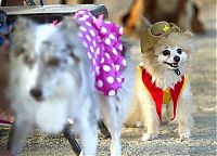 Pictures of the Day: 
