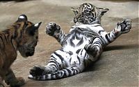 Pictures of the Day: 