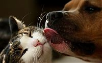 Pictures of the Day: 