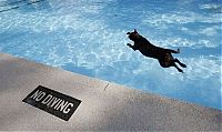 Pictures of the Day: 